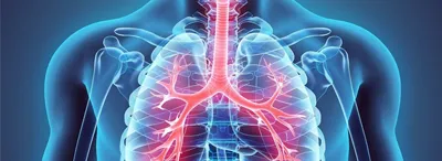 Respiratoria Adulto e Infantil